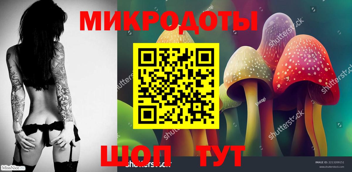 Псилоцибиновые грибы Psilocybe  Псилоцибиновые грибы мицелий  Вход с VPN  Братск 