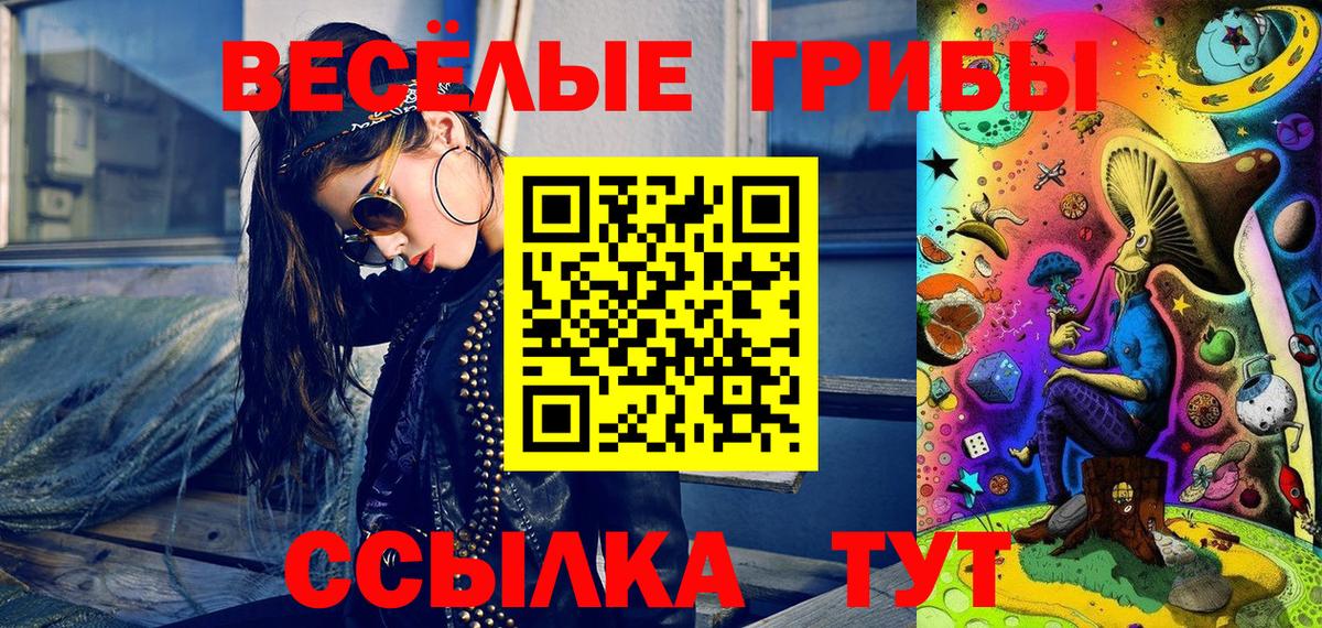 Галлюциногенные грибы Psilocybe Братск